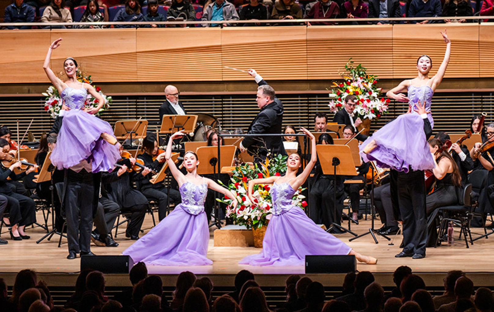 Salute to Vienna New Year's Concert