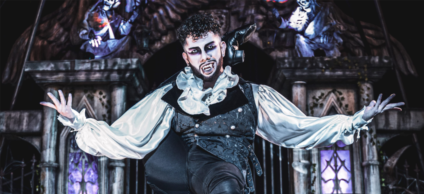 More Info for The Vampire Circus