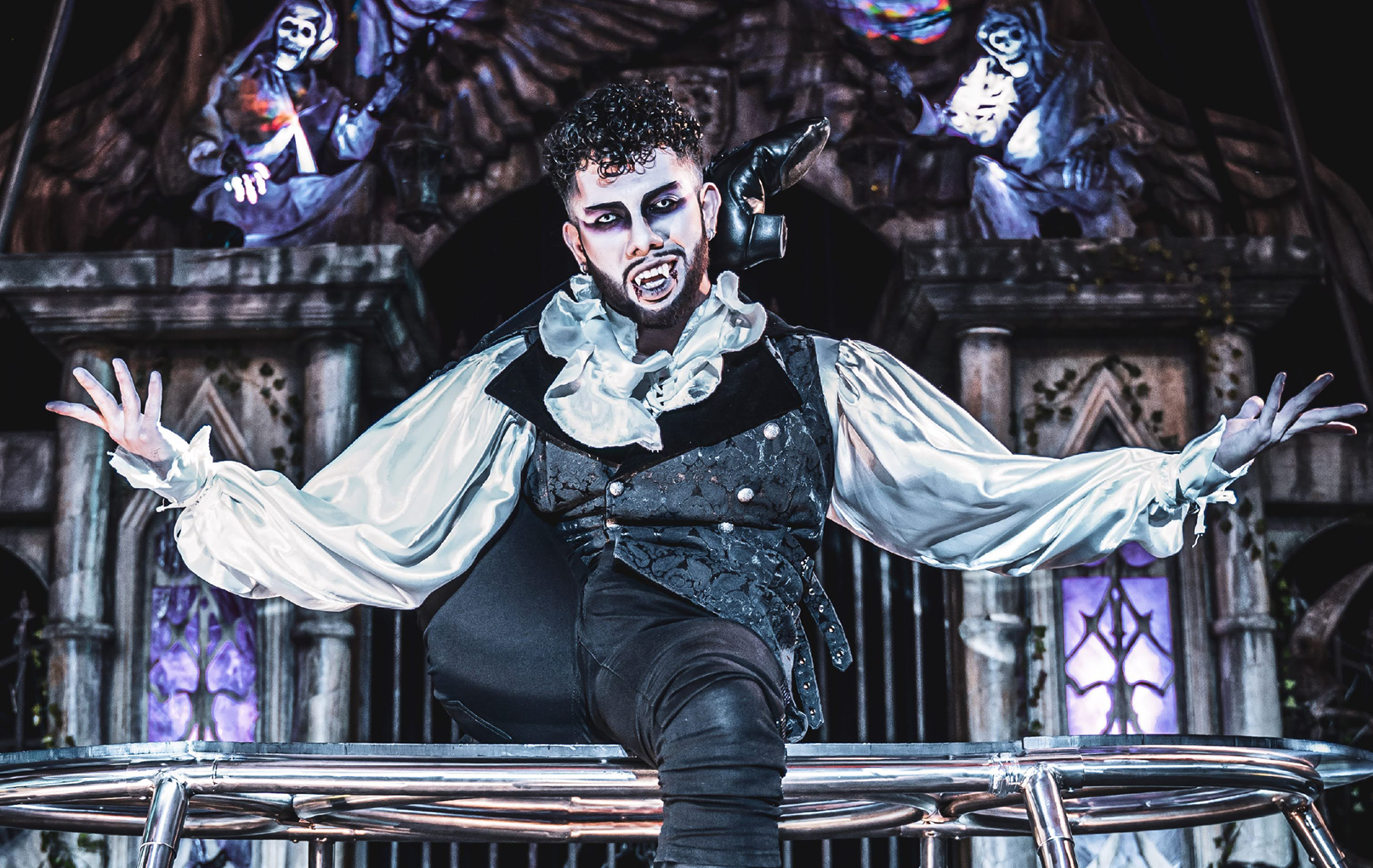 More Info for The Vampire Circus