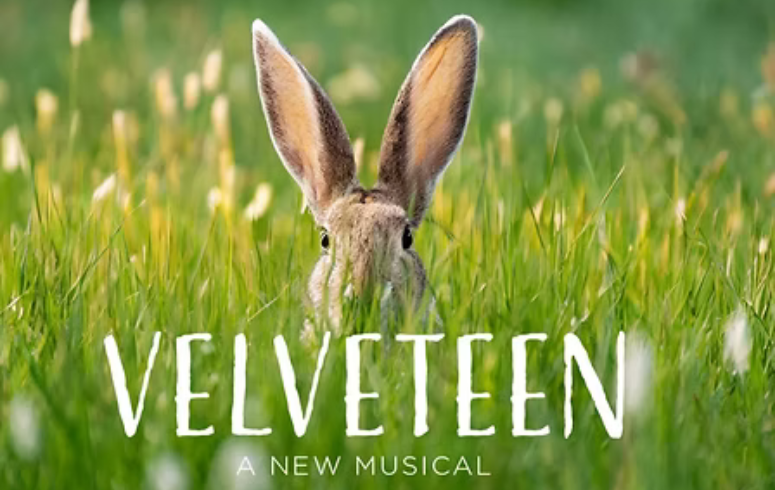 Velveteen Rabbit
