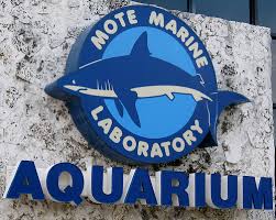 Mote Marine Aquarium